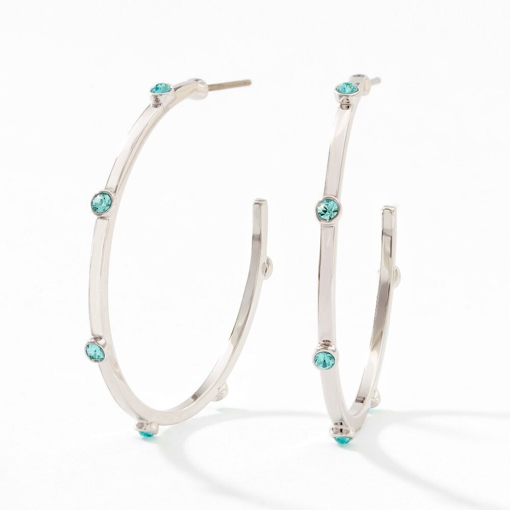 Curve Appeal Earrings ~ Touchstone Crystal by Swarovski‎